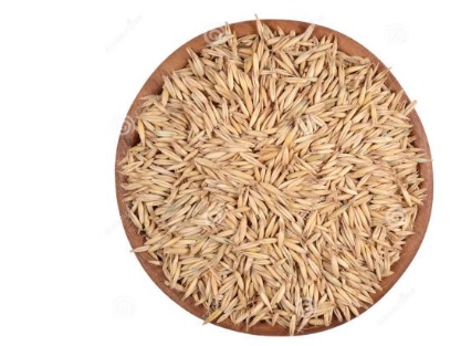 燕麥種子哪里能買(mǎi)到，價(jià)格怎么樣