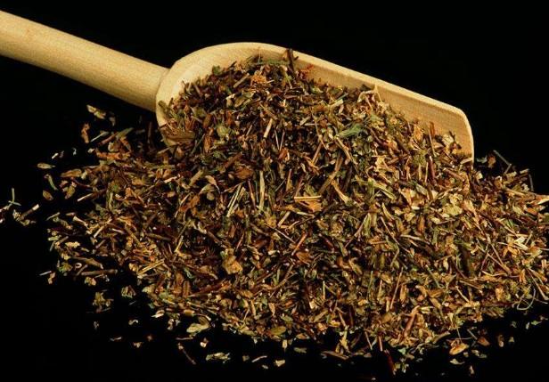要想小米草種的好，要學(xué)會(huì)種植的技巧與方法