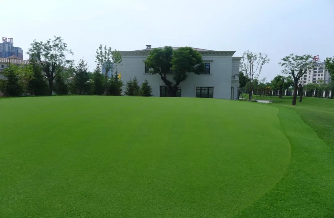 草坪如何才能美如畫(huà)，需要這幾個(gè)步驟