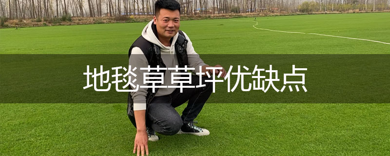 地毯草草坪優(yōu)缺點(diǎn) 地毯草草坪優(yōu)缺點(diǎn)